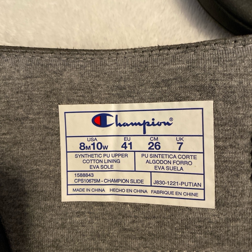 Champion Slides - Picture 3 of 3